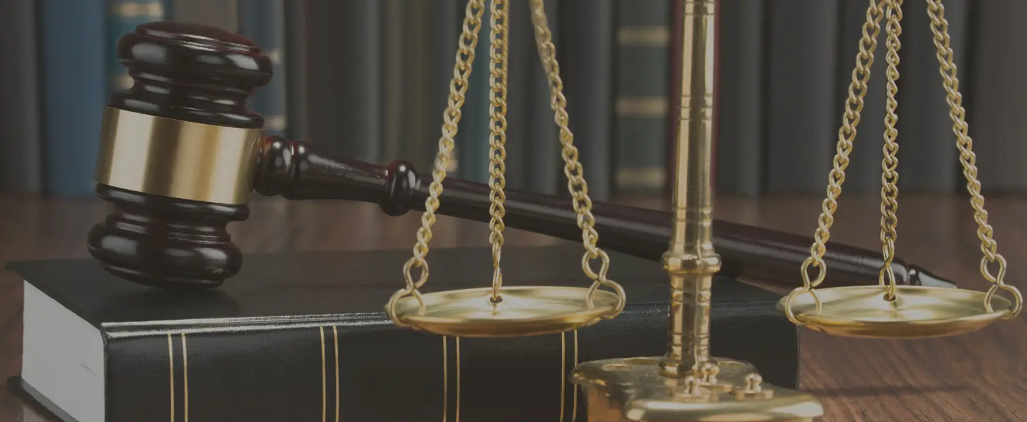 Santee Criminal Defense Lawyers Are United Against Constitutional Violence