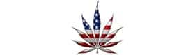 San Diego Marijuana Lawyer